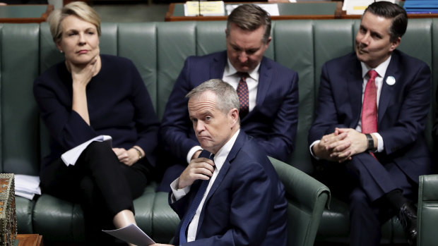 The dismay on the Labor side over Bill Shorten's decision on company tax cuts is obvious.