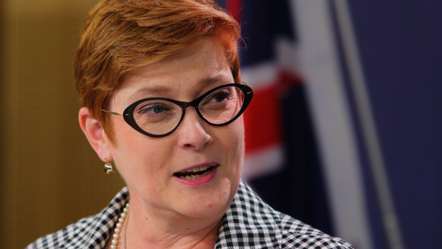 Foreign Minister Marise Payne says Australia will work with with like-minded nations to safeguard against state actors who "misuse cyberspace as a means of repression, control and instability".
