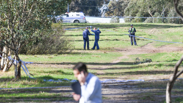 Uniform police and detectives at the scene in Royal Park where a woman's body was found on Saturday morning.