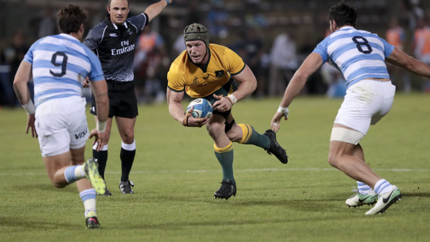 David Pocock has been the clear standout for the Wallabies this year. 
