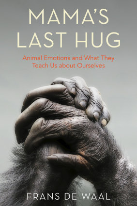 Frans de Waal says the true leaders among chimpanzees will not necessarily be the strongest.