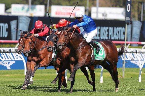 Nash Rawiller comes with a late charge on Tom Kitten to win the Fernhill Handicap at Randwick last week,