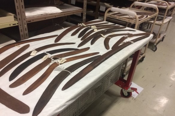 Some of the boomerangs at the Australian Museum in Sydney which were analysed by the researchers.