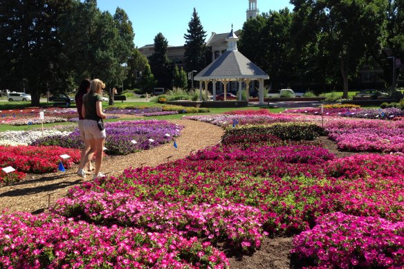 In Fort Collins, visit the Annual Flower Trial Garden or jump on a e-bike to visit other gadens.