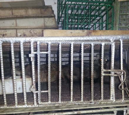 An image of the Huanan Wildlife Market taken by Edward Holmes in 2014
