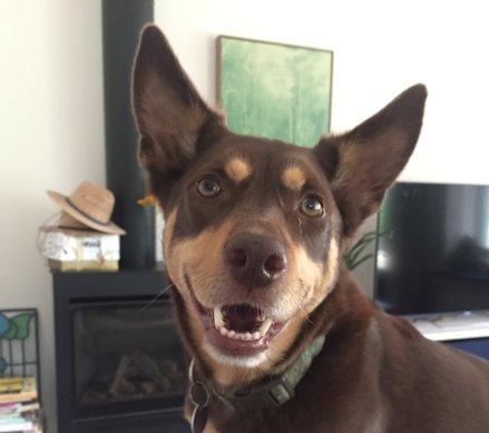 Clancy Glover aproveitou ao máximo sua vida.