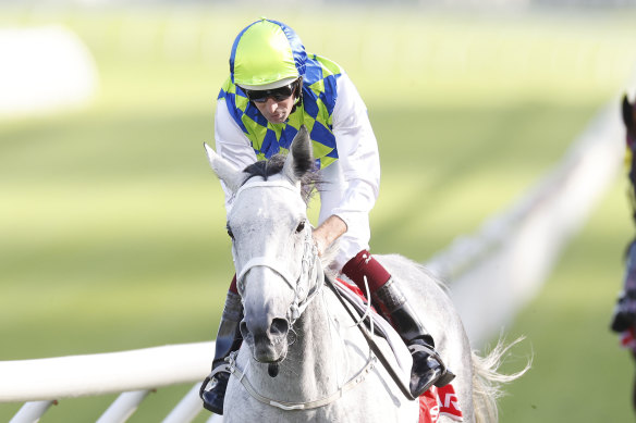 Polly Grey takes out the JRA Plate at Randwick in the autumn on a very heavy track.