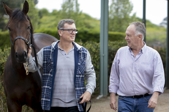 Owner Allan Endresz walks with Australian Guineas winner Alligator Blood led by  David Vandyke 