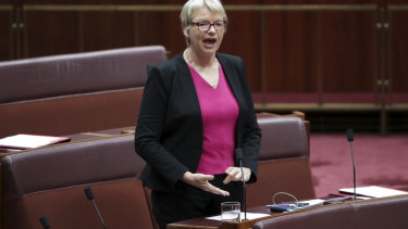 Senator Janet Rice, chair of the Senate environment and communications reference committee.