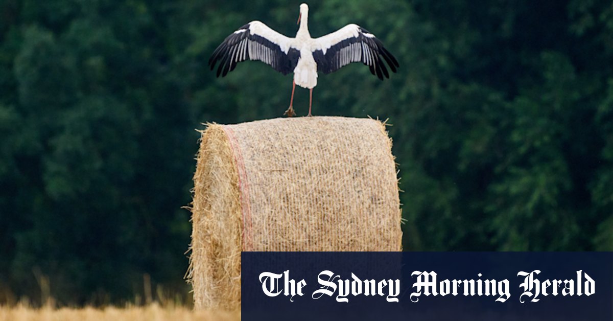 World in Pictures: July 24, 2025 Images