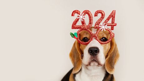 In 2024, even dogs are setting goals in the name of self-improvement.