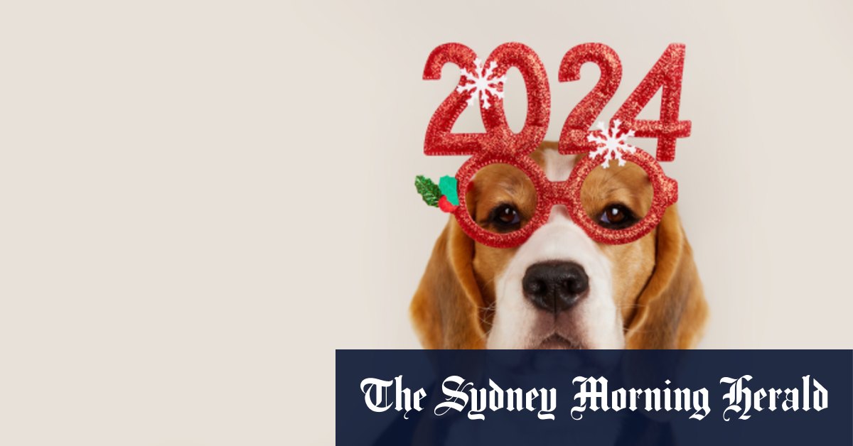 Dog sales new years