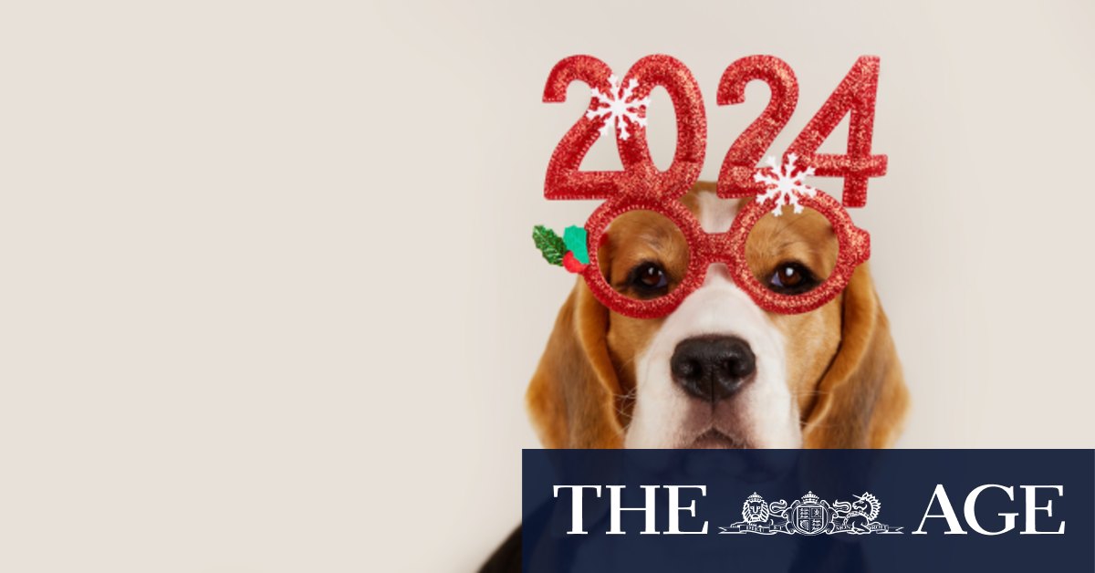 New year, new dog: in 2024, I’m taking the lead