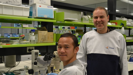 We can change human DNA. We're just not sure which bits