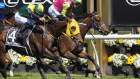 Knight’s Choice crosses the finish line.