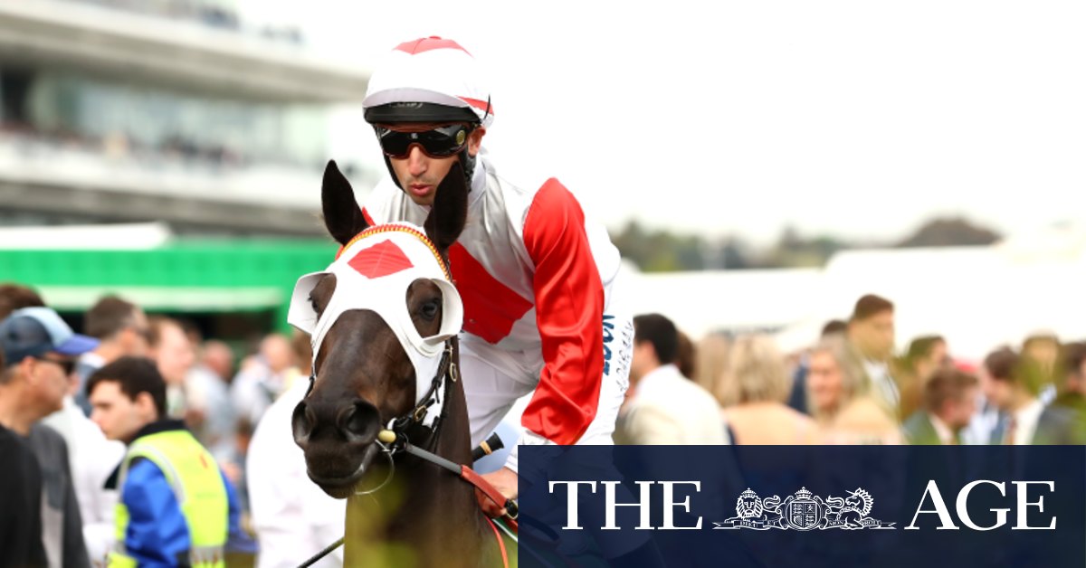 Cox Plate Or Empire Rose Mystic Journey S Grand Final A Mystery