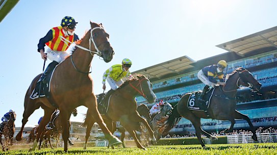 Nature Strip proved too strong for his opponents in this year’s Everest.