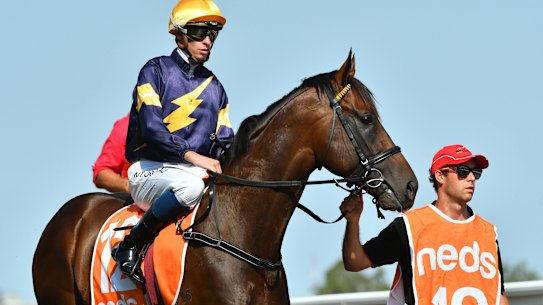 Alabama Express won the C.F. Orr Stakes earlier this month.