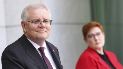 Liberal MPs accuse DFAT of leaking against the government
