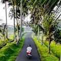 If you’re going to travel on a scooter, make sure you wear a helmet.