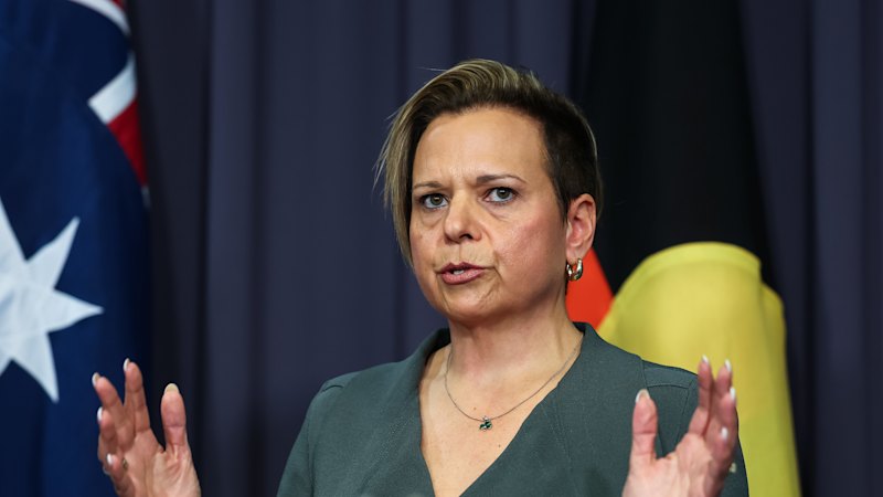 Labor proposes limiting ‘pervert glasses’ locally under updated Privacy Act rules