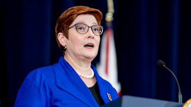 Australian Foreign Minister Marise Payne speaking in Washington this week.