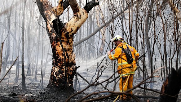 Firefighters responding to a fire off Field of Mars Avenue in South Turramurra. 