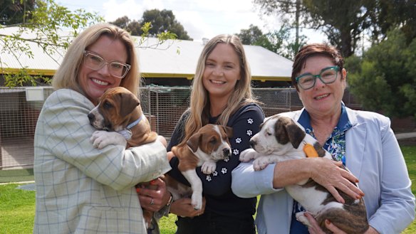 Local Government Minister Hannah Beazley, Dogs’ Refuge Home general manager Robyn Slater and Member for Maylands Lisa Baker MLA. 