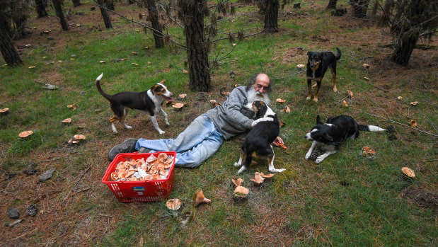 Richard Ford takes time out from mushroom hunting to have a play with his dogs.