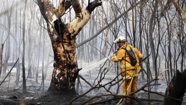 Firefighters responding to a fire off Field of Mars Avenue in South Turramurra. 