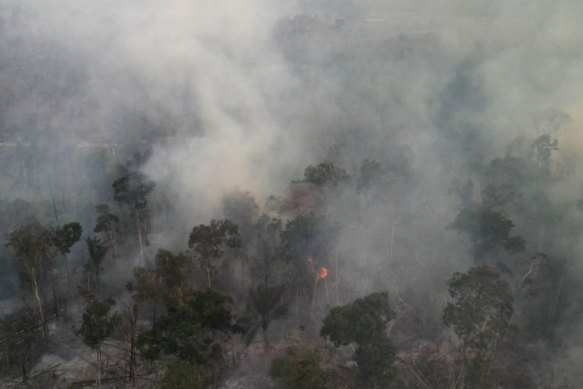 Smoke rises from forest fires in the region of Novo Progresso in Brazil last week.