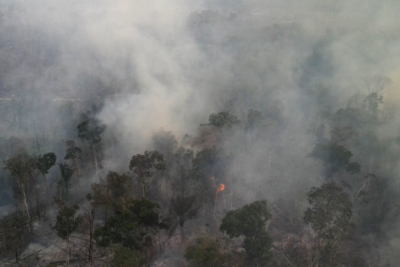 Smoke rises from forest fires in the region of Novo Progresso, in Pará state, Brazil, last week.