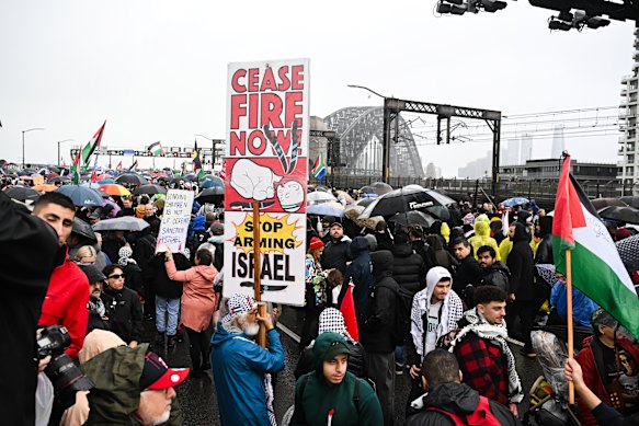 Police estimated 90,000 people turned up to the pro-Palestine protest in Sydney.