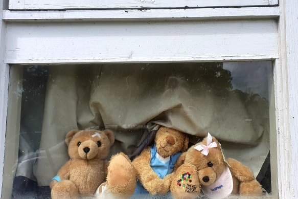 Kerri Ann Monroe is caring for five children, including two who are immunocompromised. She put bears in the window from the Kids Cancer Project and CareFlight. 
