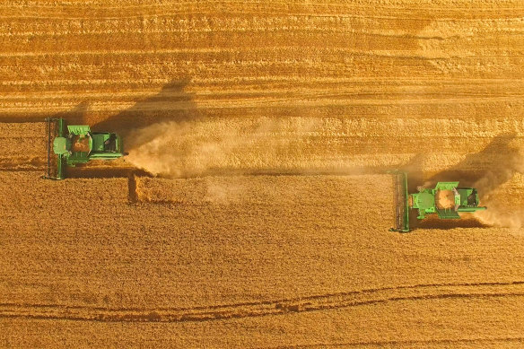 China is the world's biggest drinker of beer, a key ingredient of which is barley. 