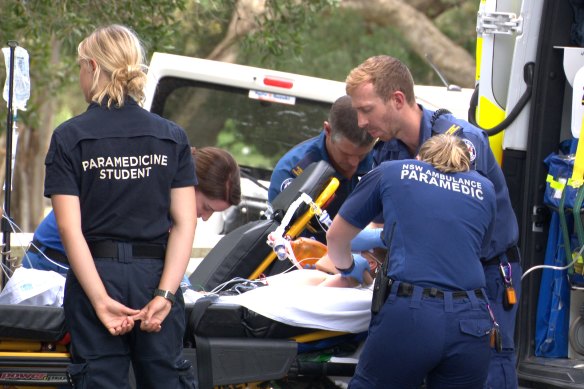 Paramedics at the scene in Centennial Park after a child was kicked by a horse.