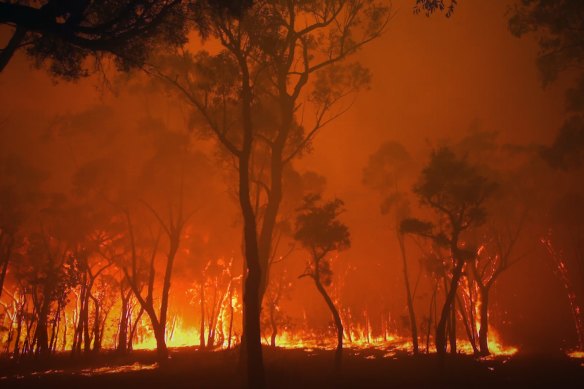 Australia has had consecutive years of catastrophic weather events including the 2019 NSW bushfires.