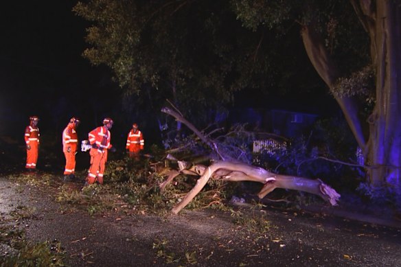 A Victorian State Emergency Services team at work clearing storm damage in February.