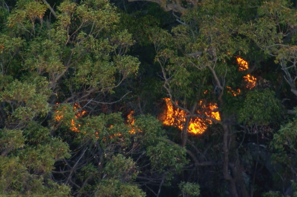 Chopper aerial bombing a bushfire at Wedderburn.