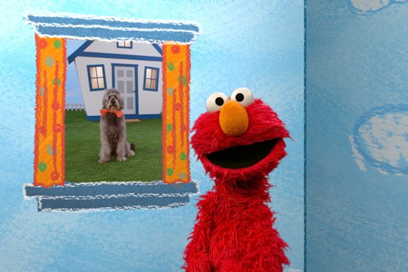 Elmo, still the MVP of Sesame Street.