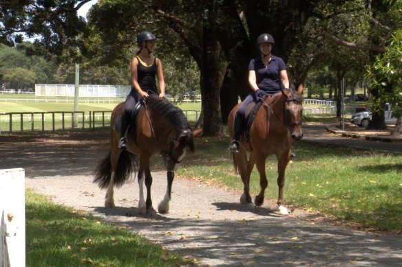 Horses on the dedicated track at Centennial Park.
