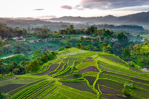 Rice terraces, Karangasem-Selat.