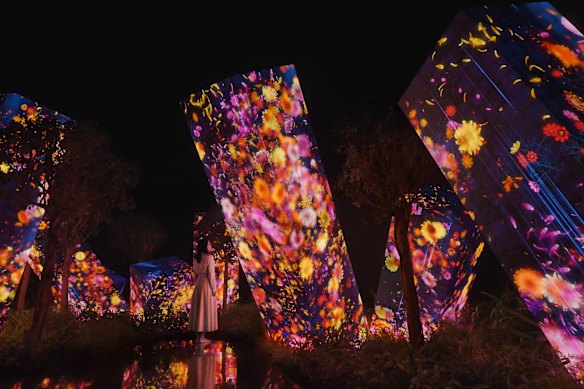 Megaliths in the Roots Garden at teamLab Phenomena, Abu Dhabi.
