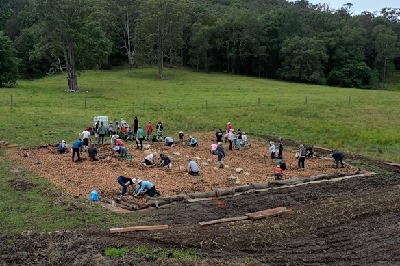 Volunteers planting a tiny forest on a property in Wyong Creek on the Central Coast  in December 2025.