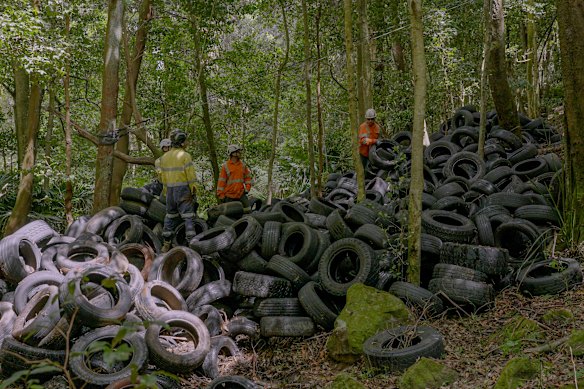 A $200,000 taxpayer funded clean-up of illegally dumped tyres in Macquarie Pass.