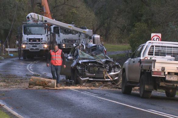 The driver was fatally injured and a passenger suffered lower body injuries when a tree crushed their car at Gellibrand, south of Colac.