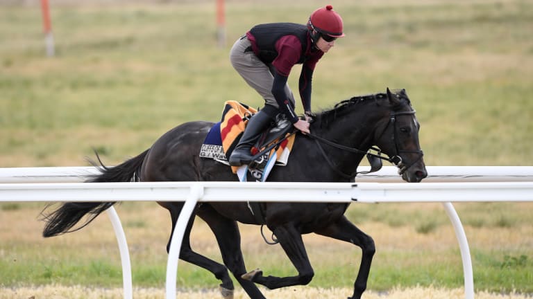 The Cliffsofmoher is one of the contenders for the Caulfield Cup.