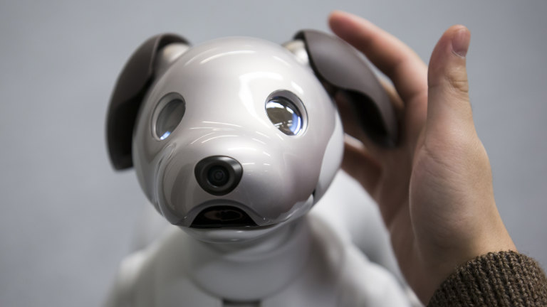 Aibo dog sales review