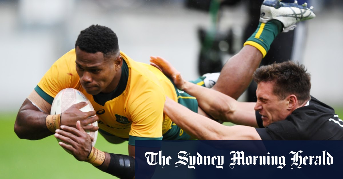 Bledisloe Cup 2020 Wallabies Draw With All Blacks In Wellington