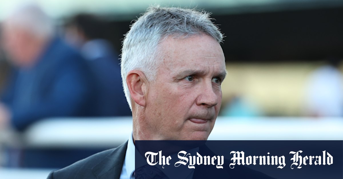 Smith reckons promising colt can kick off Golden streak at Warwick Farm